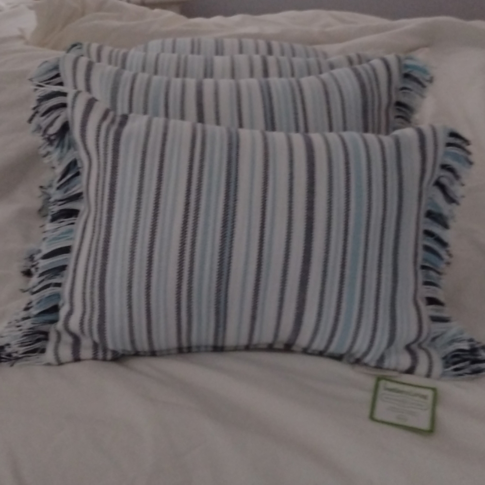 Southern Living Indoor Outdoor Pillows